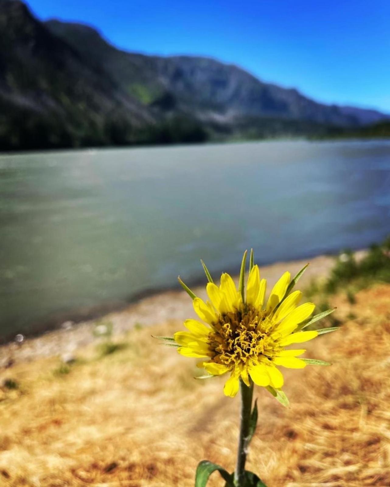Gorgeous Gateway To The Columbia River Gorge Washougal Ngoại thất bức ảnh